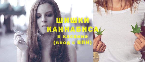 мдпв Новозыбков