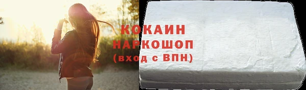 первитин Новодвинск