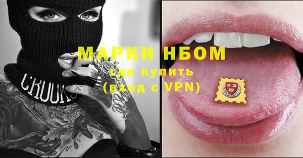 мдпв Новозыбков