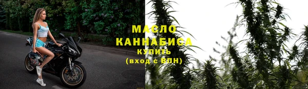 мдпв Новозыбков
