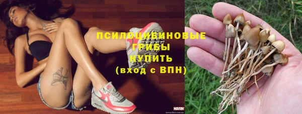 первитин Новодвинск