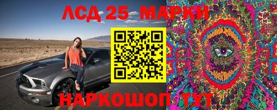 дмт Заводоуковск