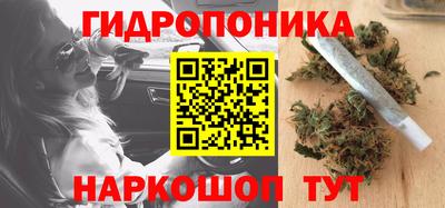 apvp Заволжье