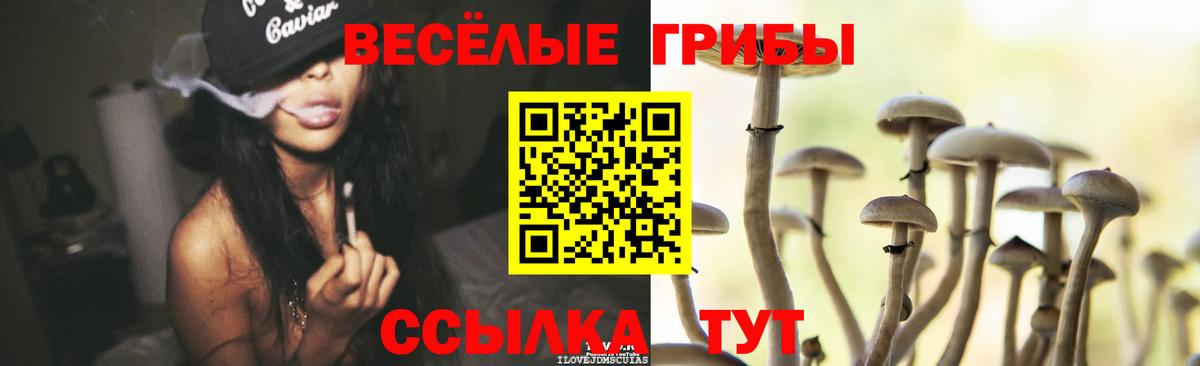 Псилоцибиновые грибы ЛСД Торжок